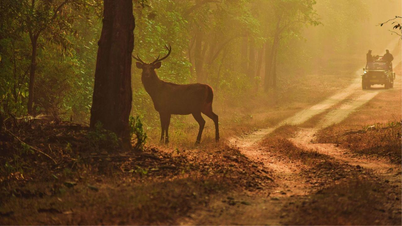 Lakhimpur Kheri