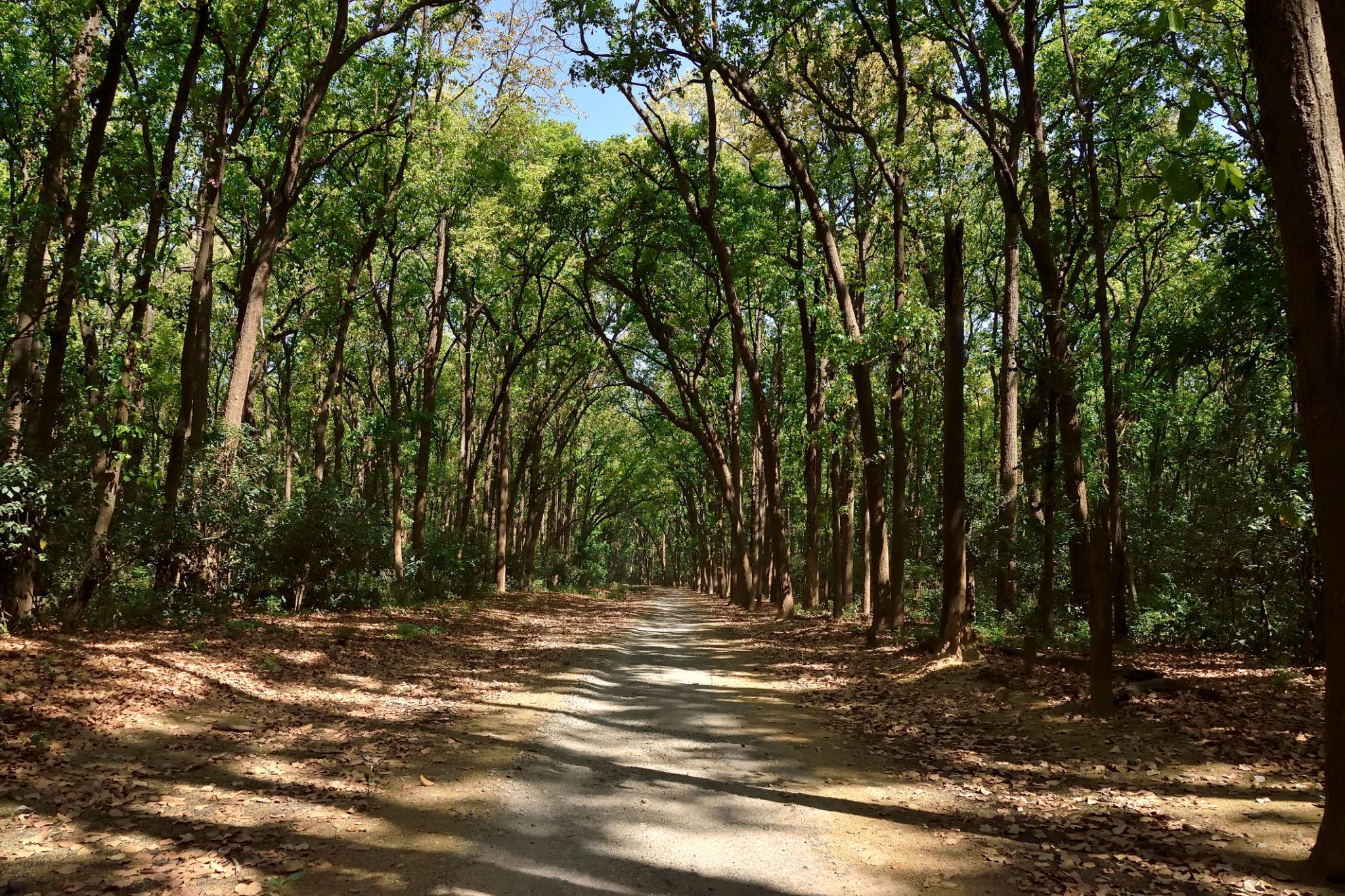 Lakhimpur Kheri
