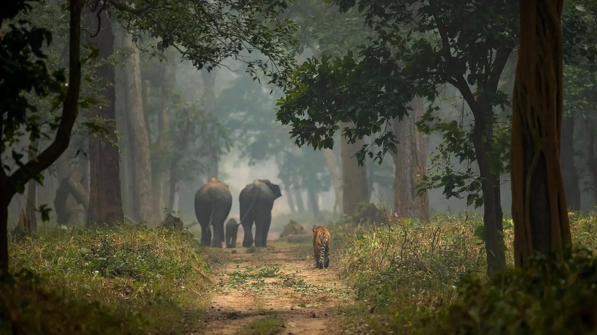 Lakhimpur Kheri